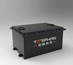 48 V Lithium Ion Golfwagen Akku