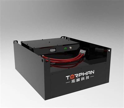 Lithium -Eisen -Batterie -Gabelstaplerwagen